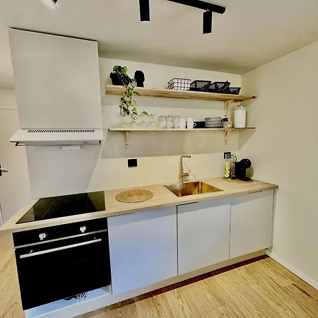 Aurora Stay- Aurora Garden